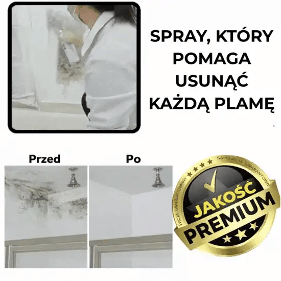 Spray do naprawy ścian – WallFix™