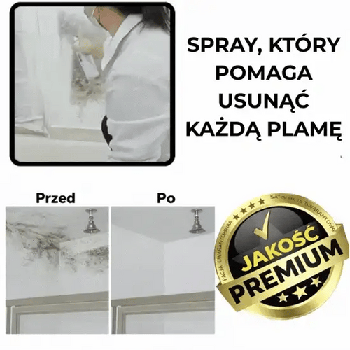 Spray do naprawy ścian – WallFix™