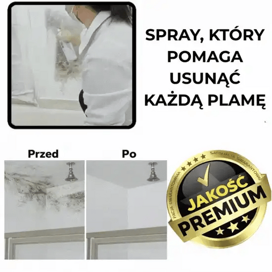 Spray do naprawy ścian – WallFix™
